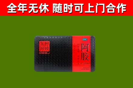 酒泉回收阿胶